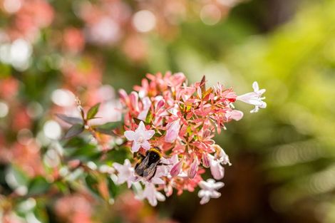 Photo of property in 71b Holland Street, Wainuiomata, Lower Hutt, 5014