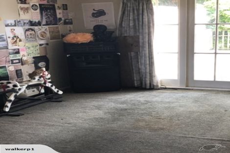 Photo of property in 432 Mount Albert Road, Mount Roskill, Auckland, 1041