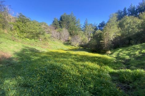 Photo of property in 338 Tuahu Road, Tauwhareparae, Tolaga Bay, 4077