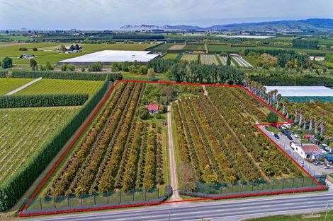 Photo of property in 341 Wharerata Road, Matawhero, Gisborne, 4071