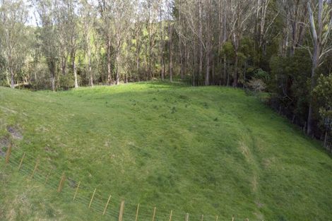 Photo of property in 24 Piko Lane, Marotiri, Taupo, 3377