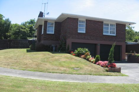 Photo of property in 12 Dalzien Place, Feilding, 4702