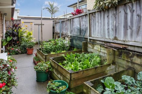 Photo of property in 59b Puriri Road, Pukekohe, 2120