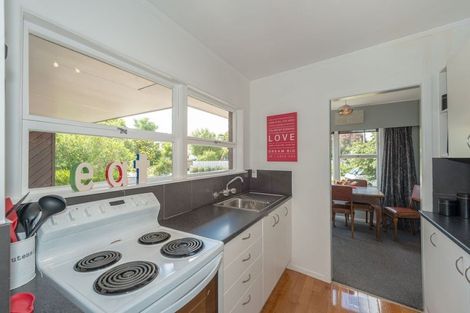 Photo of property in 21 Sussex Street, Chartwell, Hamilton, 3210