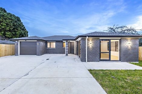 Photo of property in 19a Surrey Street, Hawera, 4610