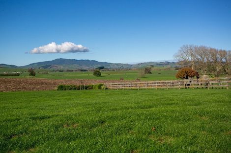 Photo of property in 3090a Cambridge Road, Rotoorangi, Cambridge, 3495