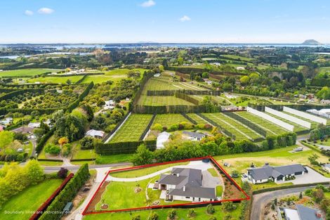 Photo of property in 156a Munro Road, Minden, Tauranga, 3179