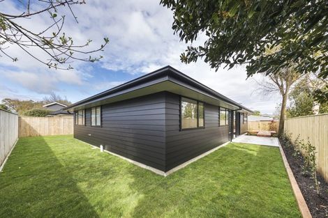 Photo of property in 196b North Street, Feilding, 4702