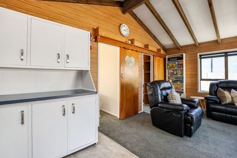 Photo of property in 97 Two Thumbs Street, Ashburton Lakes, Mount Somers, 7771