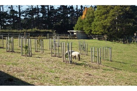 Photo of property in 167 Wymer Road, Glenbrook, Waiuku, 2681