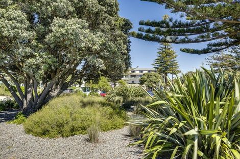 Photo of property in 249 Marine Parade, Napier South, Napier, 4110