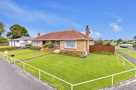 Photo of property in 236 St George Street, Papatoetoe, Auckland, 2025