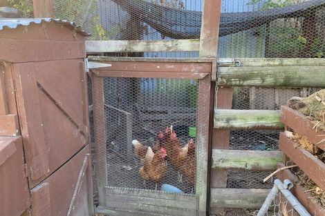 Photo of property in 20 Hammerichs Road, Rapaura, Blenheim, 7272