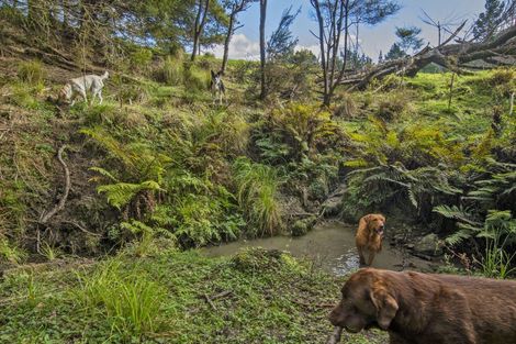 Photo of property in 125 Baldrock Road, Brynderwyn, Maungaturoto, 0587