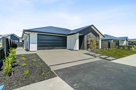 Photo of property in 11 Fairmaid Street, Lincoln, 7608