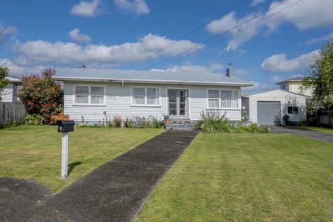 Photo of property in 6 Selwyn Street, Levin, 5510