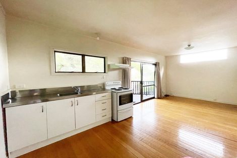 Photo of property in 16a Shirley Road, Grey Lynn, Auckland, 1021