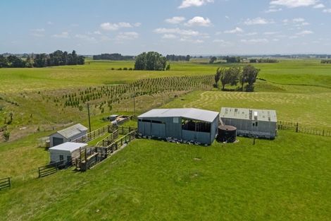 Photo of property in 604 State Highway 3, Bulls, 4894