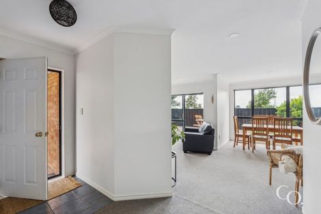 Photo of property in 41 Francevic Avenue, Mount Maunganui, 3116