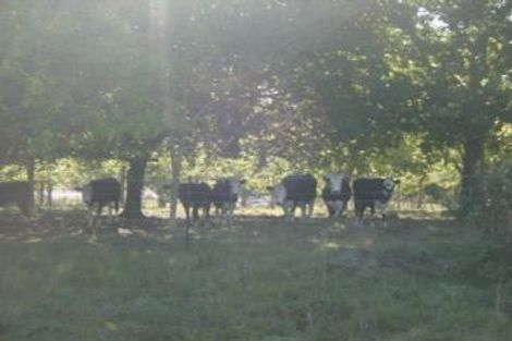 Photo of property in 93 Hoddy Road, Redwood Valley, Richmond, 7081