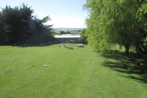 Photo of property in 37 Princes Street, Waikari, 7420