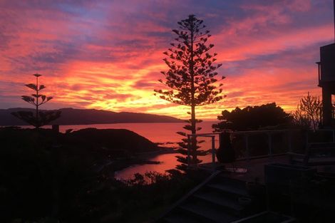 Photo of property in 181 Buckley Road, Southgate, Wellington, 6023