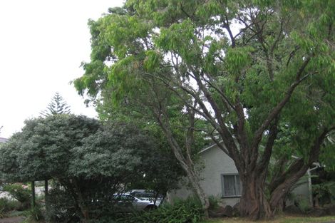 Photo of property in 39 Alberton Avenue, Mount Albert, Auckland, 1025