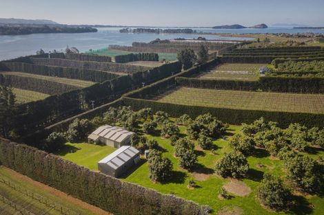 Photo of property in 210 Tuapiro Road, Tahawai, Katikati, 3170