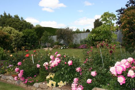 Photo of property in 57 Holyhead Street, Outram, 9019