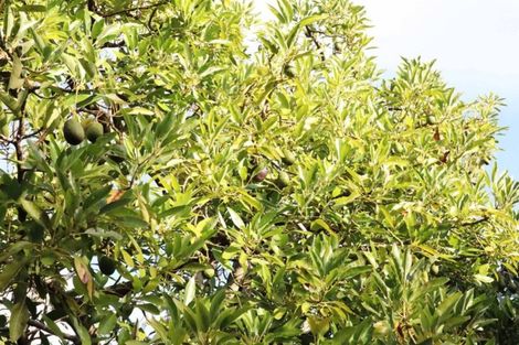 Photo of property in 470a Upper Ohauiti Road, Ohauiti, Tauranga, 3173