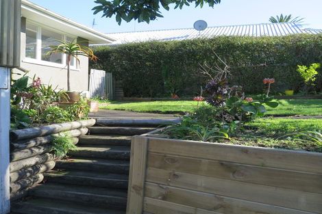 Photo of property in 7 Bell Street, Judea, Tauranga, 3110