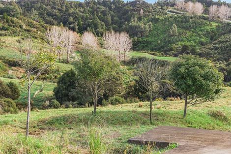 Photo of property in 88 Waere Valley Lane, Warkworth, 0981