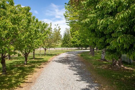 Photo of property in 42 Clare Road, Galloway, Alexandra, 9393