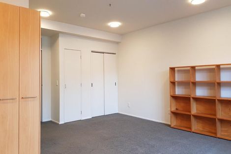 Photo of property in 7/7 Hanson Street, Mount Cook, Wellington, 6021