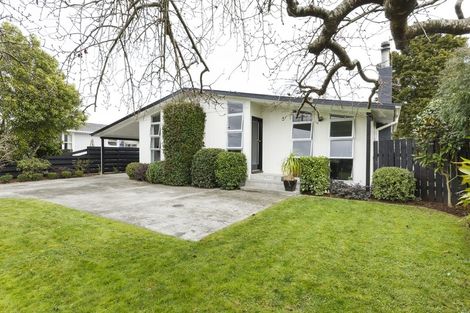 Photo of property in 141 Salisbury Street, Ashhurst, 4810