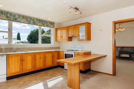 Photo of property in 4 Edwards Place, Terrace End, Palmerston North, 4410
