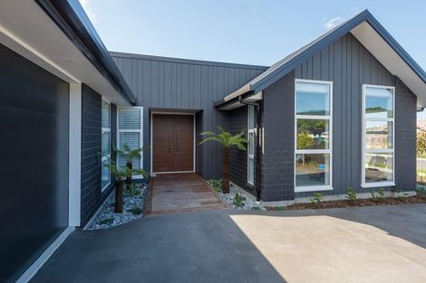 Photo of property in 14 Inanga Place, Ruatapu, 7883
