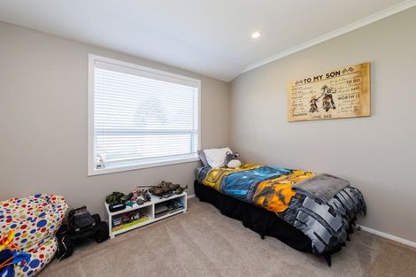 Photo of property in 101 Clevely Line, Bunnythorpe, Palmerston North, 4478