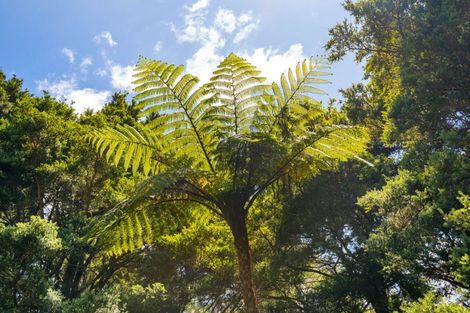 Photo of property in 246 Gray Road, Te Kamo, Kamo, 0185