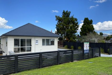 Photo of property in 19 Andrews Street, Foxton Beach, Foxton, 4815
