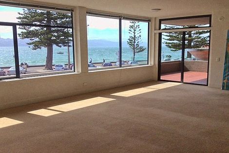 Photo of property in 222 Oriental Parade, Oriental Bay, Wellington, 6011
