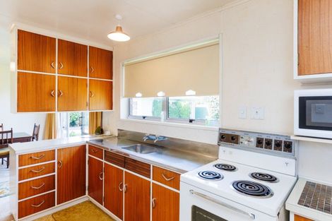 Photo of property in 17 Blenheim Place, Feilding, 4702