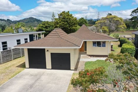 Photo of property in 221 Bellona Road, Whangamata, 3620