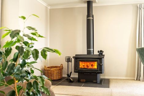 Photo of property in 6 Unwin Place, Twizel, 7901