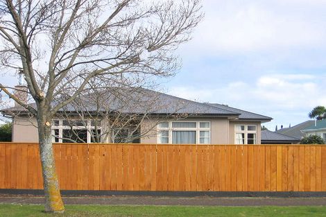 Photo of property in 16 Ihle Street, Terrace End, Palmerston North, 4410