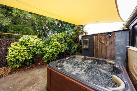 Photo of property in 113 Shamrock Street, Takaro, Palmerston North, 4412