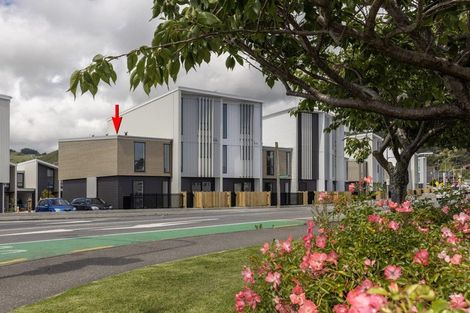 Photo of property in 51 Kamahi Place, Paraparaumu, 5032