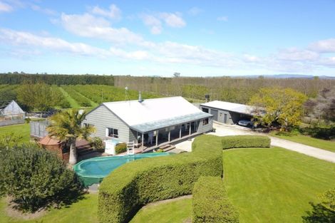 Photo of property in 50 Harper Road, Waerengaahika, Gisborne, 4071