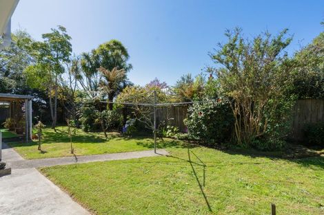 Photo of property in 38 Kings Drive, Levin, 5510