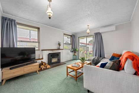 Photo of property in 25 Clyde Street, Renwick, 7204